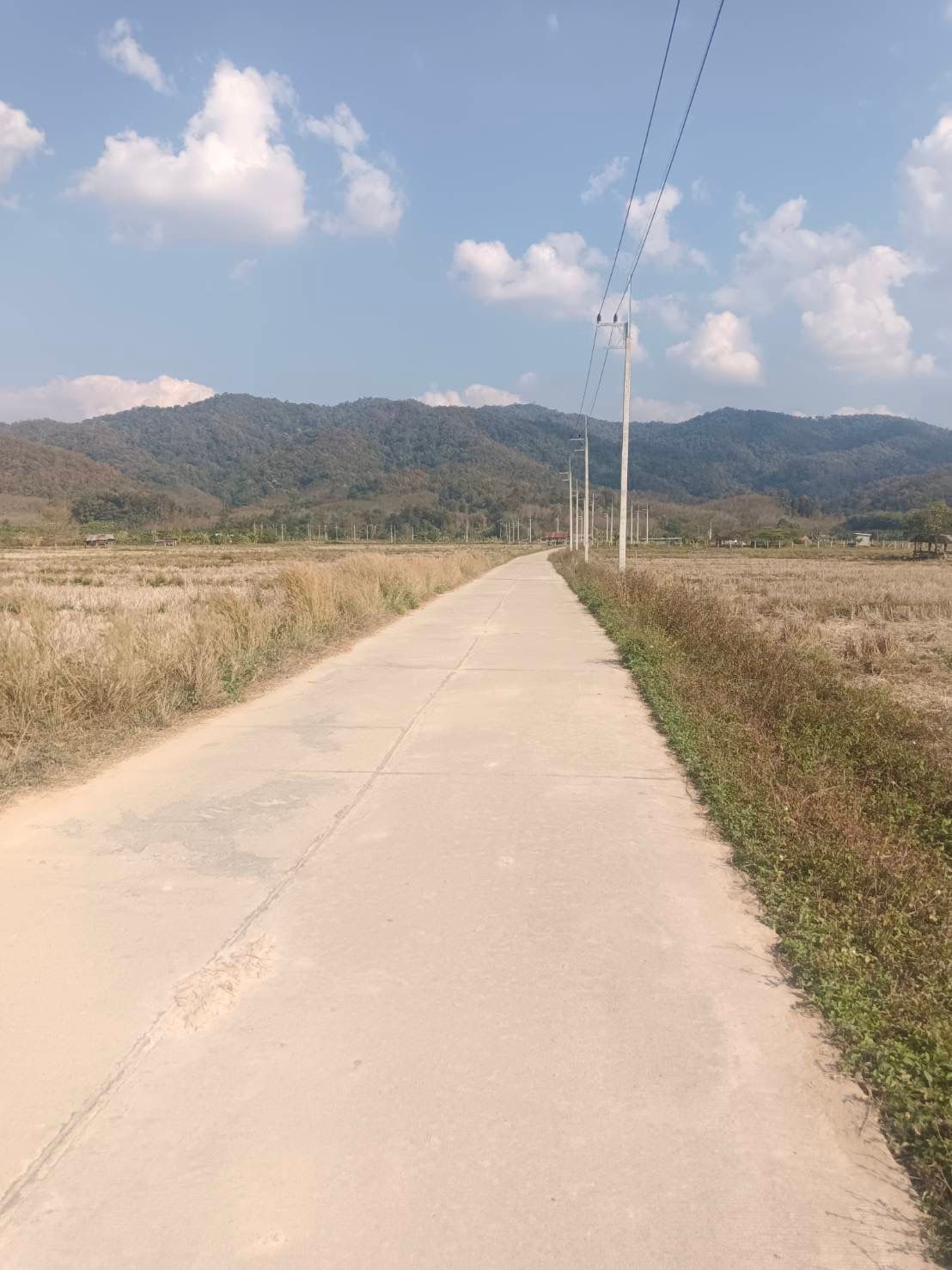 ขายที่ดินเชียงราย เชียงของ 