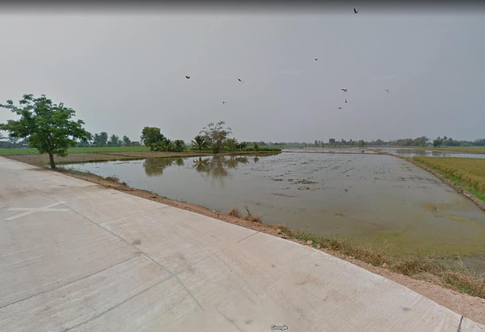 ที่ดิน ด้านหลังมีสระน้ำ  พิษณุโลก 3 งาน