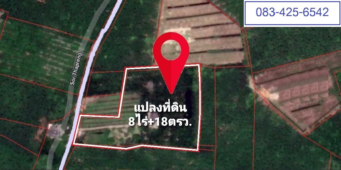 ขายที่ดินนครศรีธรรมราช ใกล้ชุมชน เหมาะลงทุนทำสวนทุเรียน&ผสม นบพิตำ นครศรีฯ 8-0-18