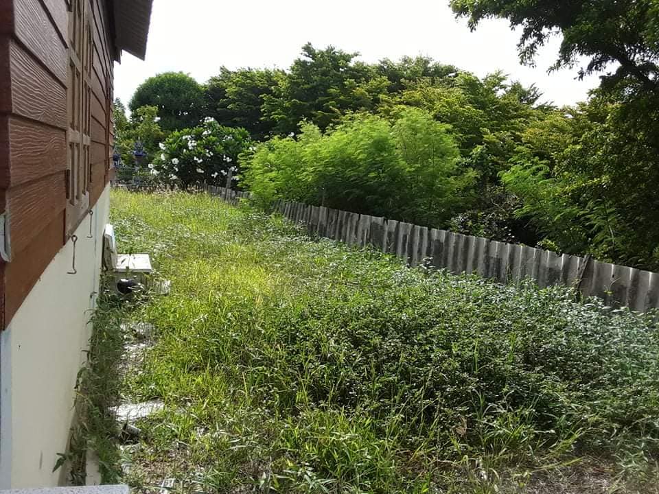 บ้านไม้ชั้นเดียว สุพรรณบุรี
