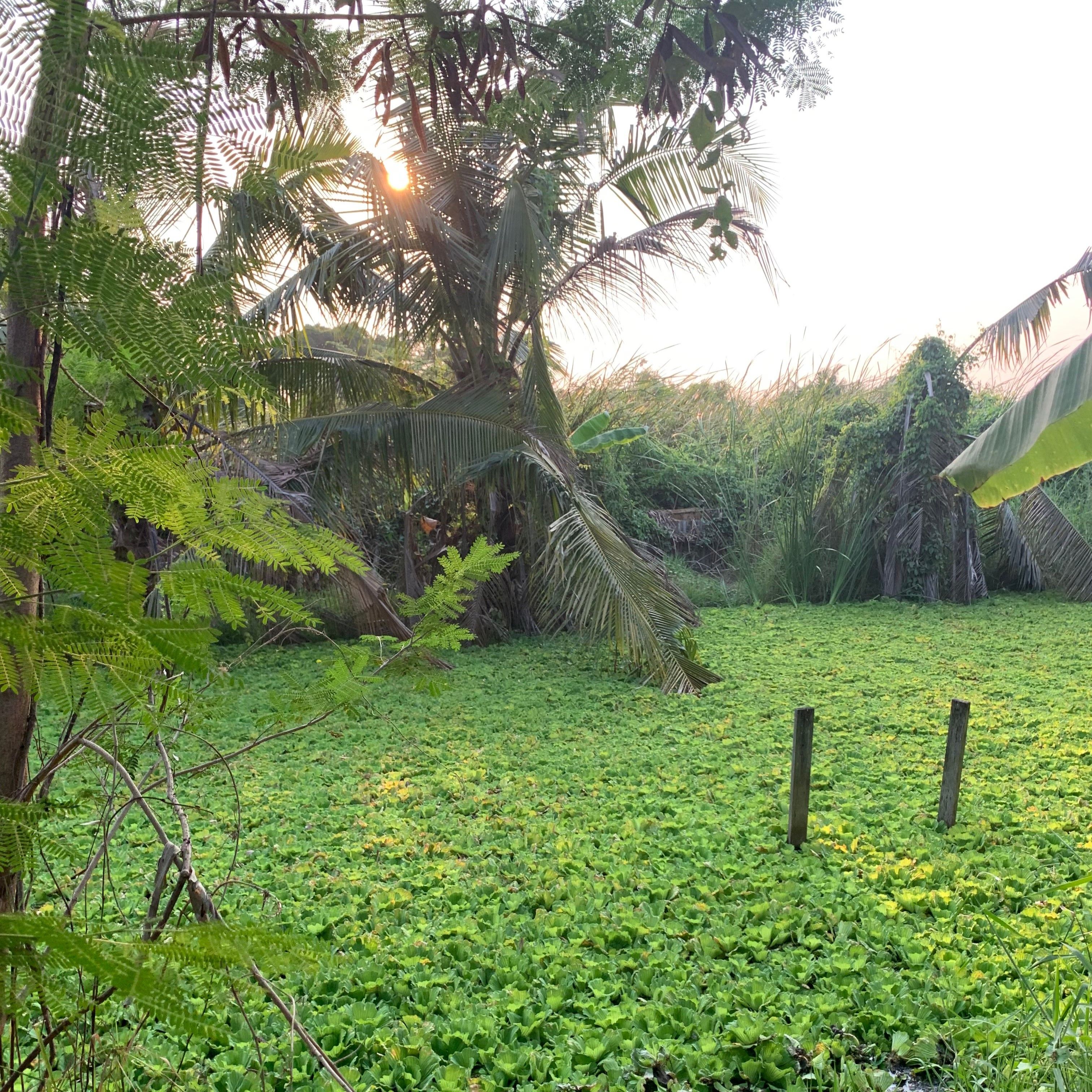 ที่ดินบ้านสวน