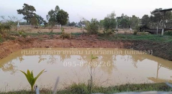ที่ดิน สำหรับทำบ้านสวน โคกหนองนา มีสระน้ำ บรรยากาศดี ร้อยเอ็ด 3-3-68