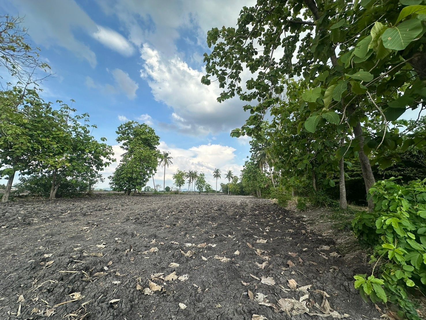 ที่ดินทำสวนทำโคการบ้านจัดสรร