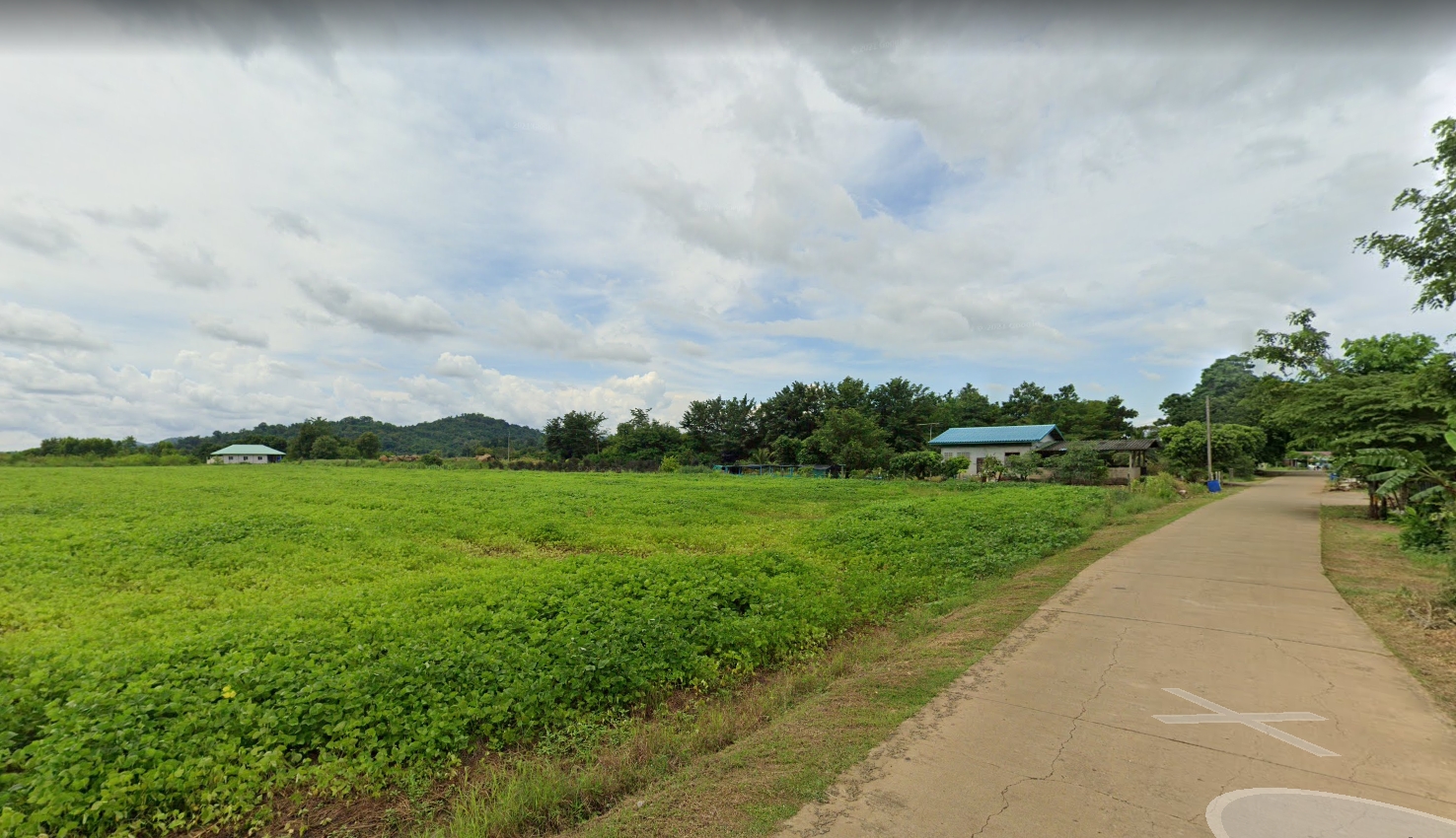 ที่ดินเปล่า แปลงสวย หนองไผ่ เพชรบูรณ์ 4-1-90 ตร.ว.