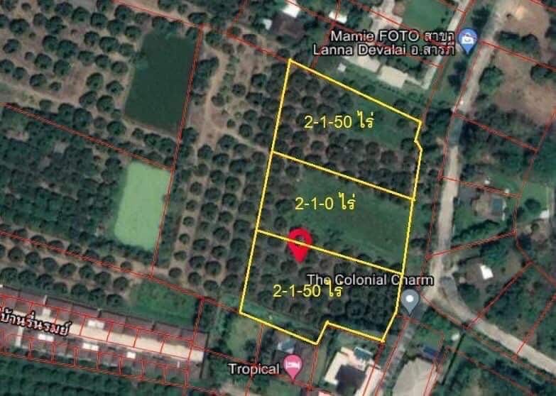 ขายที่ดิน้ชียงใหม่ แปลงสวย ใกล้โครงการบ้านรื่นรมย์ สารภี 