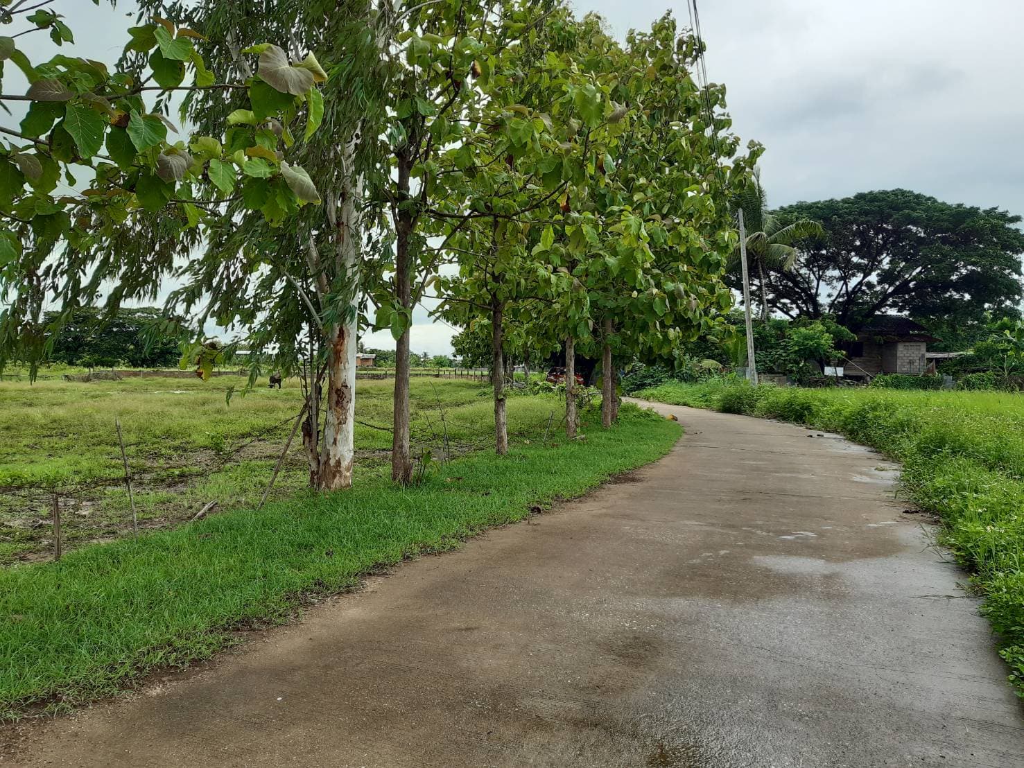 ที่ดินเปล่า เมืองลำปาง 2-2-8.9
