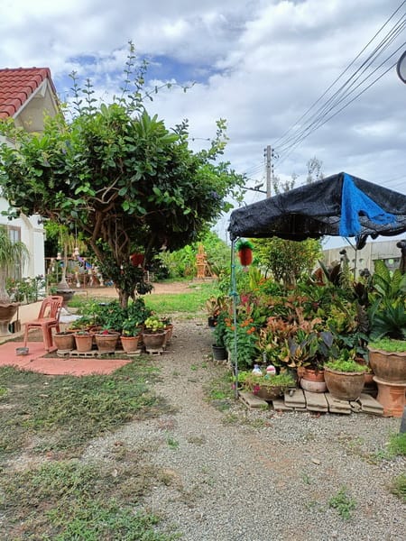 ขายบ้านพร้อมที่ดิน ต.ท่าตะคร้อ อ.ท่าม่วง เนื้อที่โฉนด 273ตรว. 3ห้องนอน 2 ห้องน้ำ พร้อมสิ่งปลูกสร้างมีบ้านเล็กเก็บของและบ้านครัวบ้านมีรั้ว (ราคา2.2ล้านบาท)สนใจติดต่อสอบถาม 095-8592591