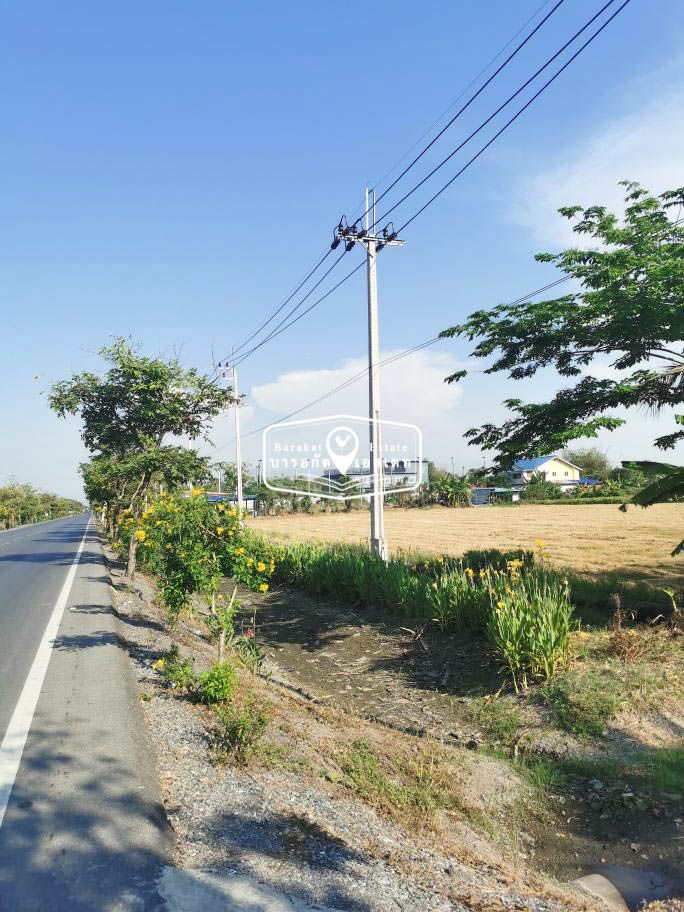 แปลงสวยติดถนนคลอง9 ตรงข้ามสโมสรฟุตบอลเยาวชน  เขตหนองจอก จังหวัดกรุงเทพฯ