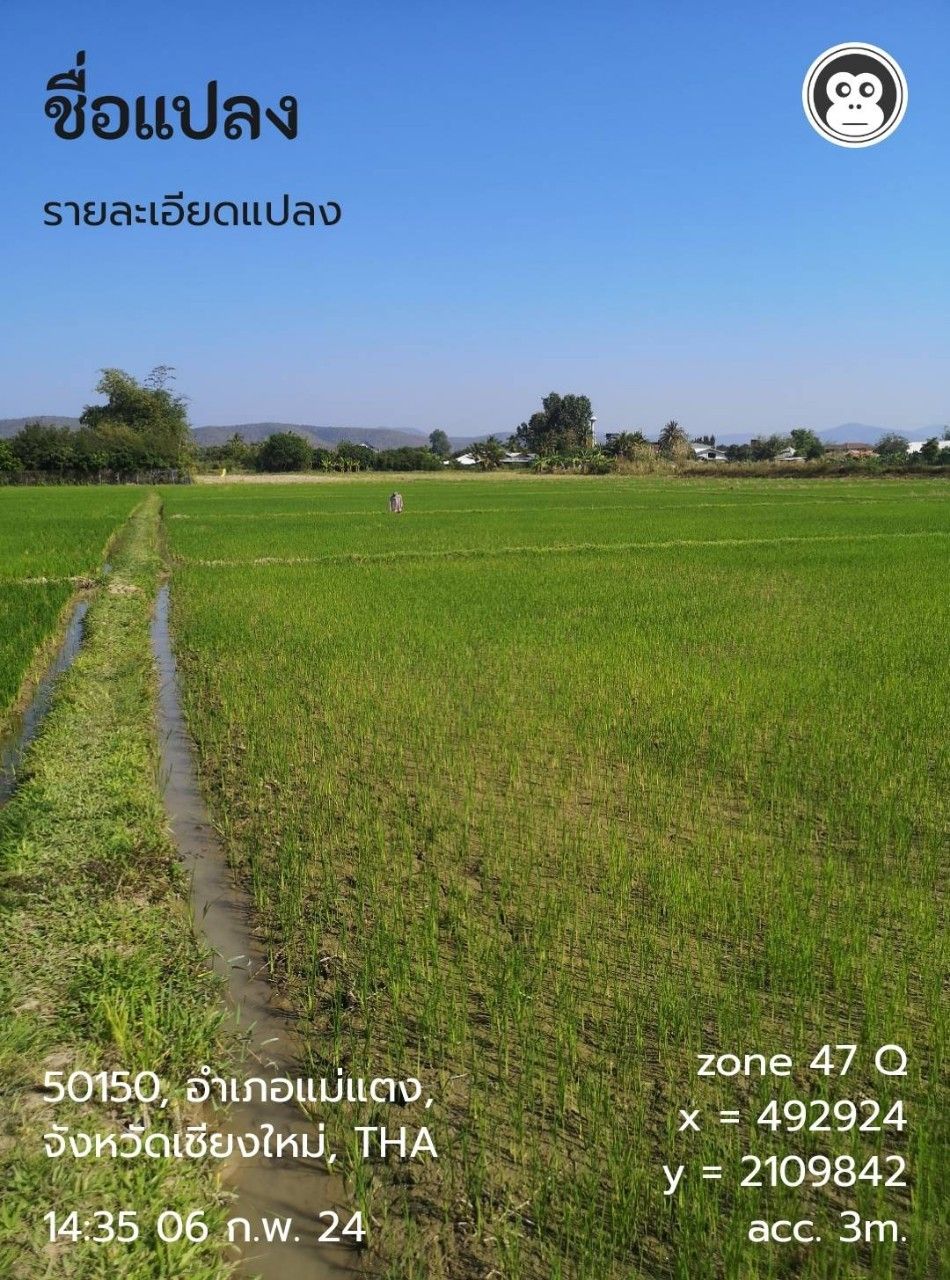 ขายที่ดินวิวทุ่งนา และ ภูเขา มีลำเหมืองหน้าที่ดิน บ้านทุ่งสีทอง อำเภอแม่แตง จังหวัดเชียงใหม่