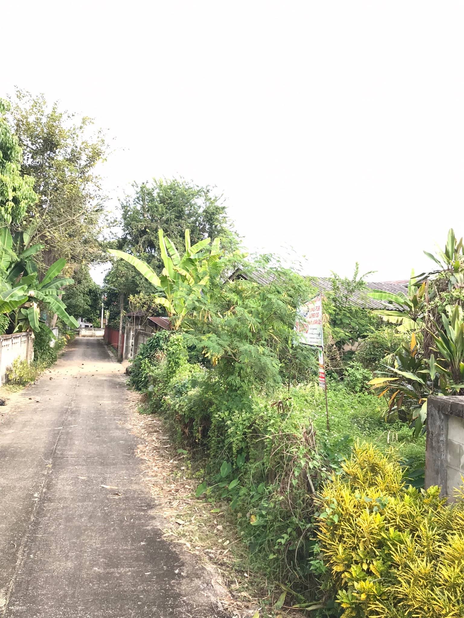 ขายที่ดินเชียงราย จ.เชียงราย อ.แม่สาย 97 ตร.ว.