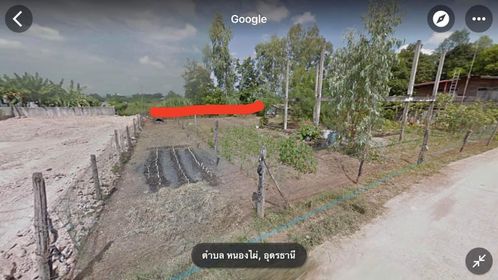ที่ดิน หนองไผ่ อุดร 242 ตารางวา