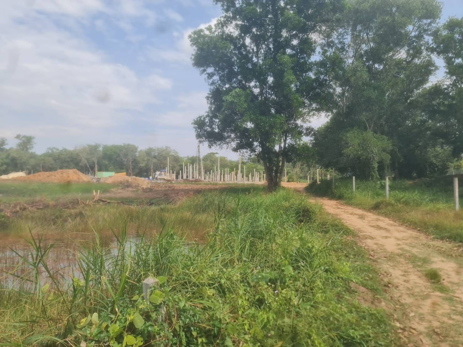 ขายที่ดินภูเก็ต ตำบลเทพกระษัตรี ถลาง ใกล้ BOTANITCA Foresta
