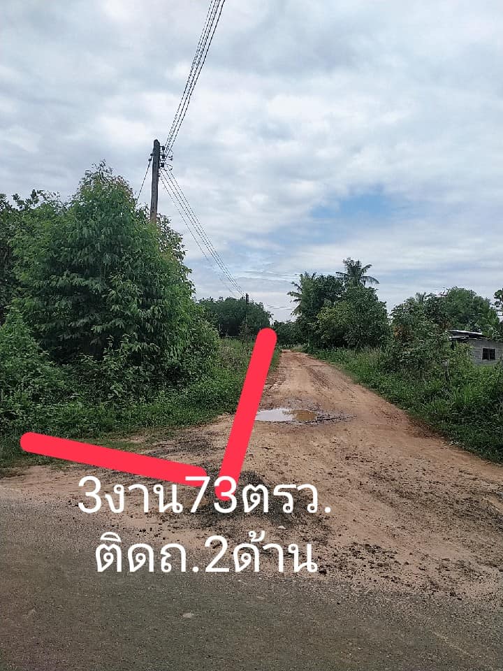 ที่ดินติดถนนสองด้าน อุบลราชธานี 373 ตรว.