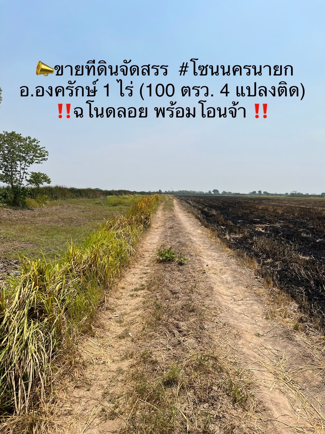 💥ฟรีค่าโอน💥 ขายที่ดินเปล่า โซนนครนายก อ.องครักษ์ 1 ไร่ (100 ตรว. 4 แปลงติด)