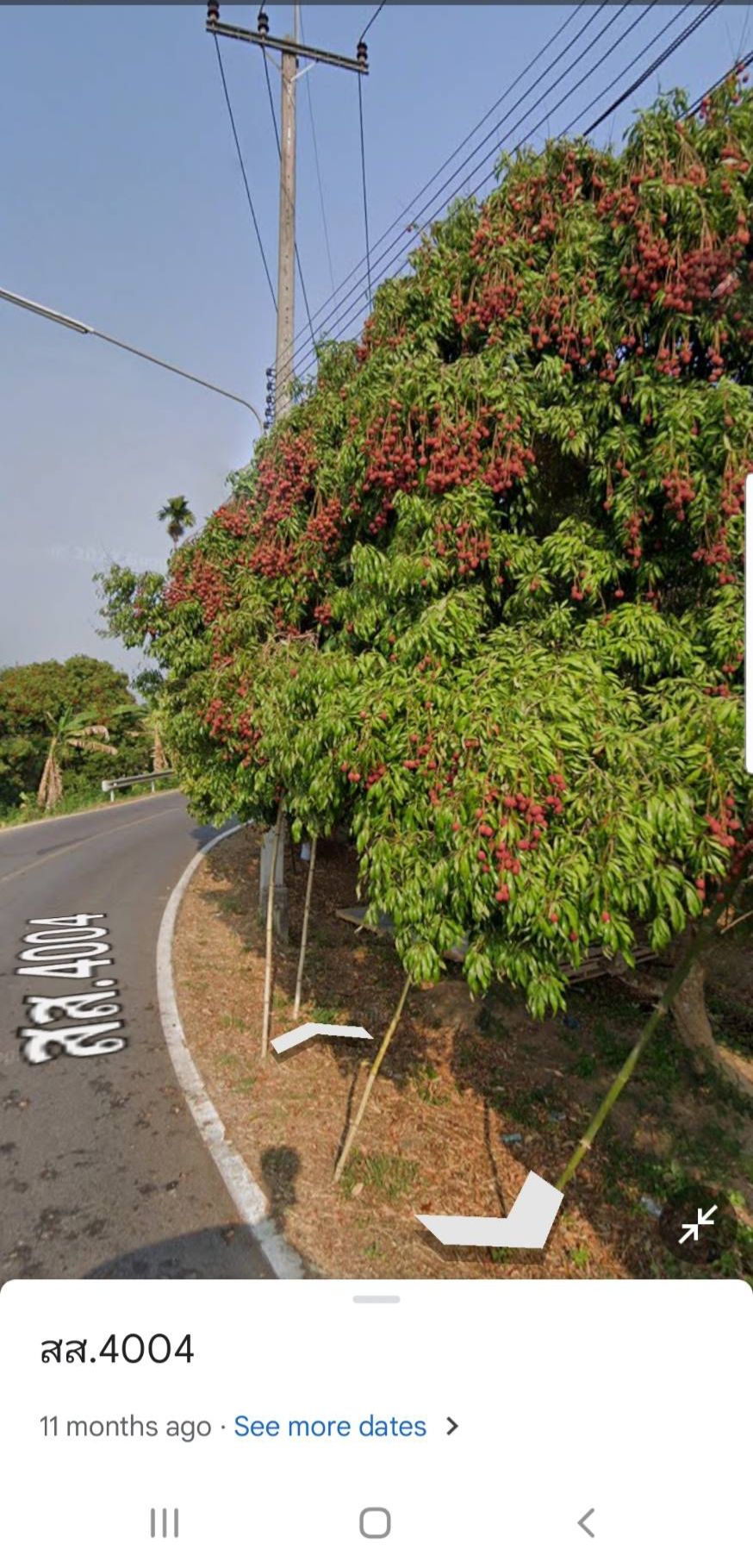 ขายที่ดินติดถนนหลังวัดเหมืองใหม่ ซื้อถวายวัดก็ดี ซื้อเก็บก็ได้ค่ะ ฟรีค่าโอน