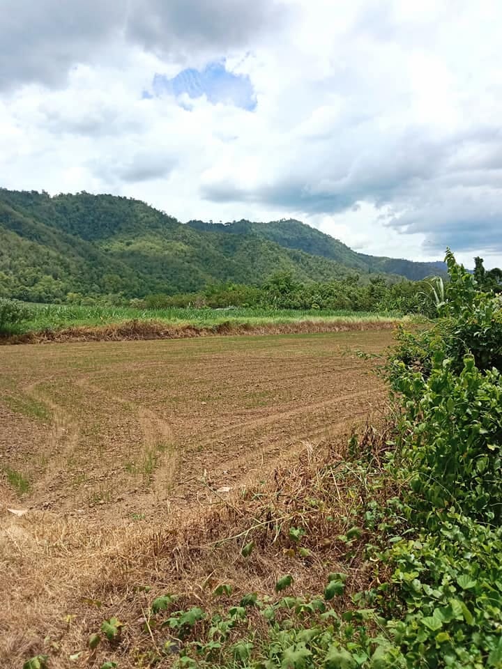 ขายที่ดินแปลงสวย วิวดี ติดภูเขา 19-0-64.8 อุตรดิตถ์