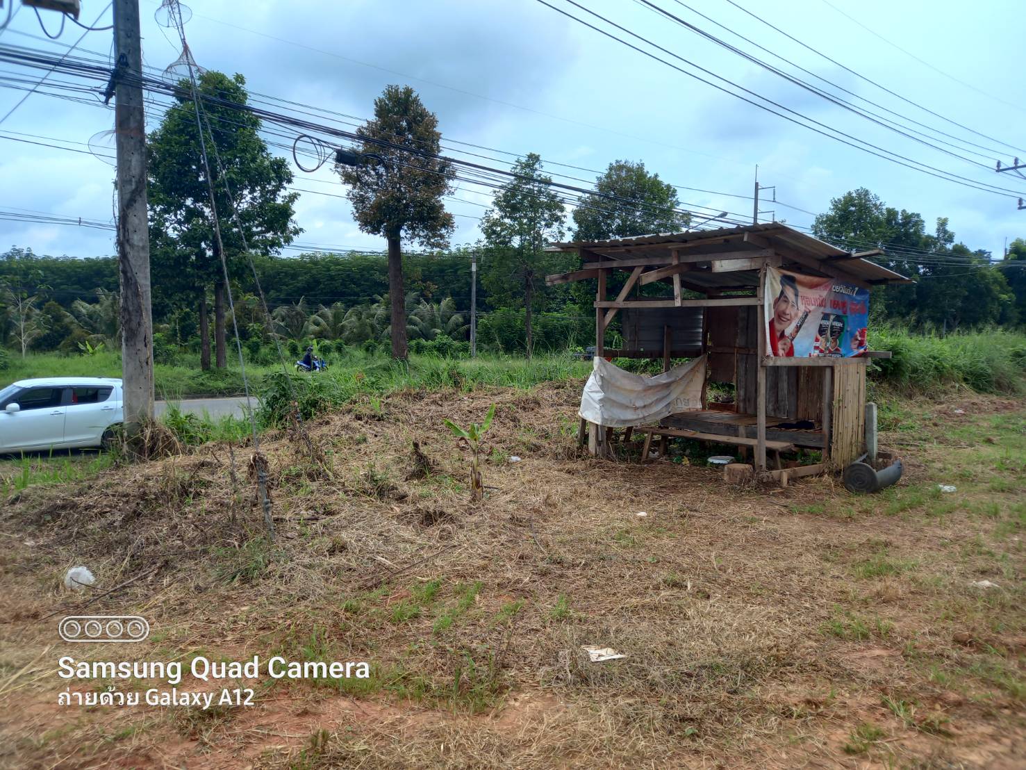 ขายที่ดิน สุราษฎร์ธานี 7-0-87.9 ไร่