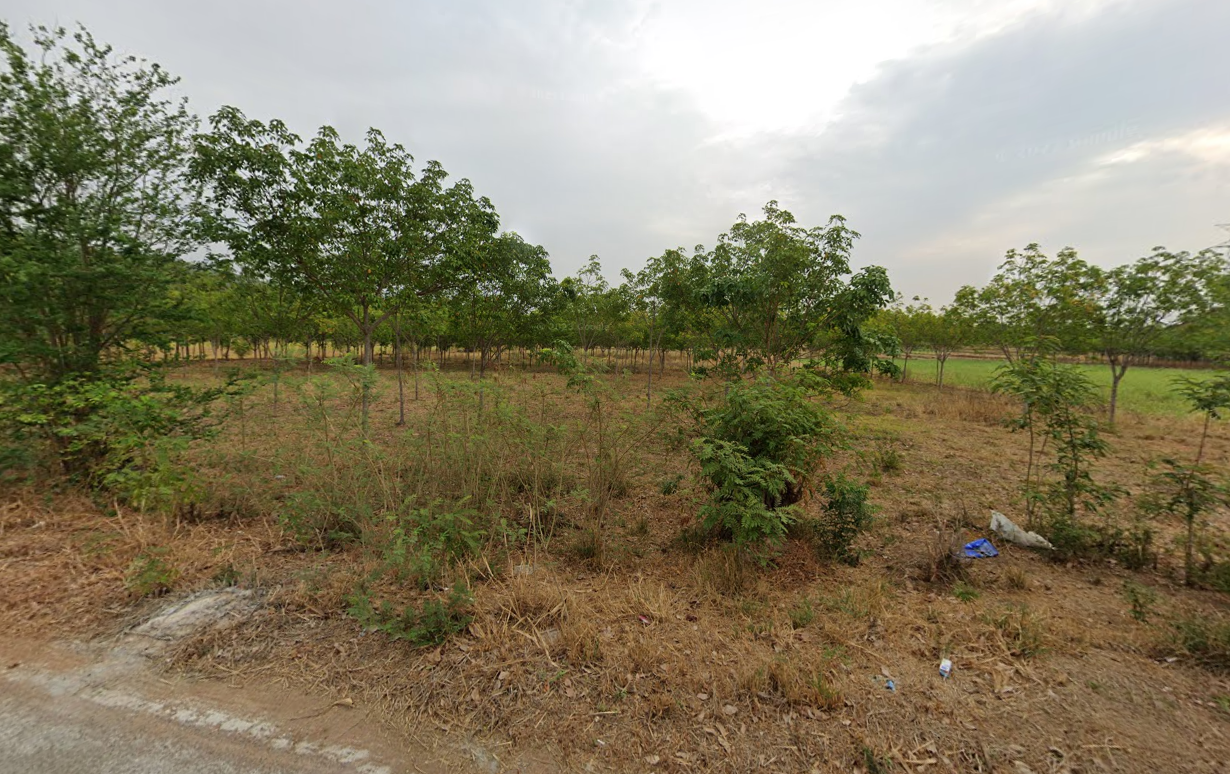 ขายที่ดินชัยภูมิ 51 ไร่