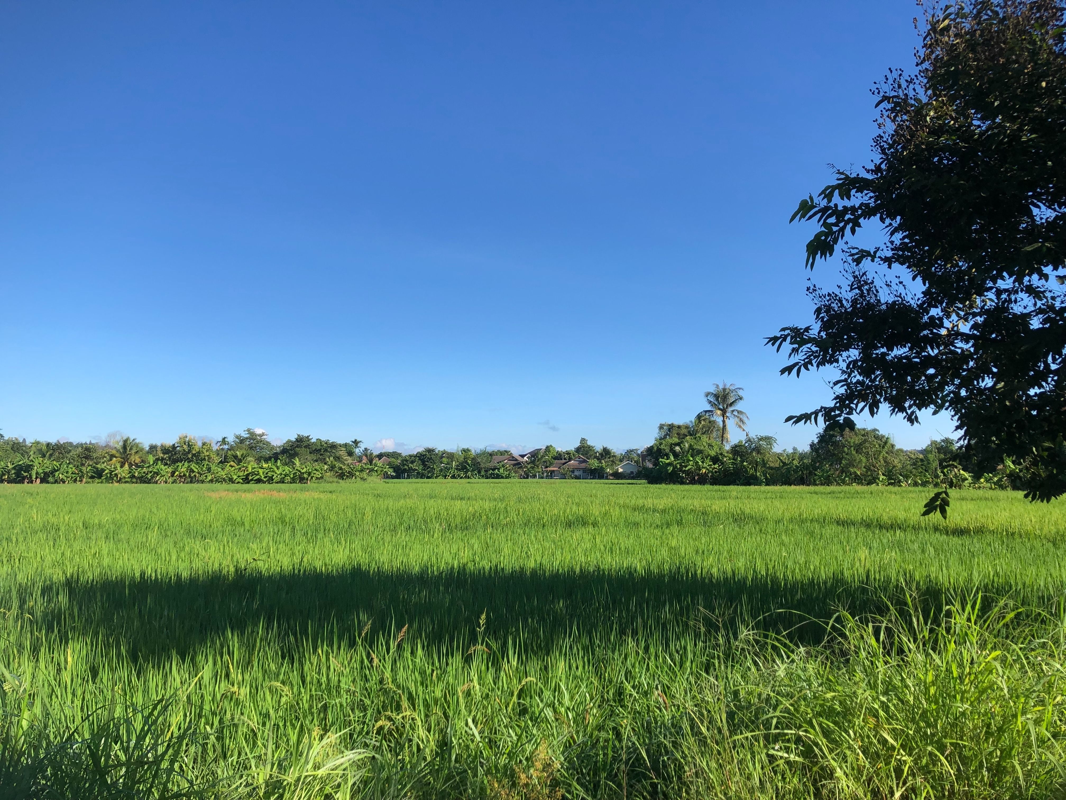 ขายที่ดินวิวสวยธรรมชาติ ติดลำธาร ใกล้ตัวเมือง