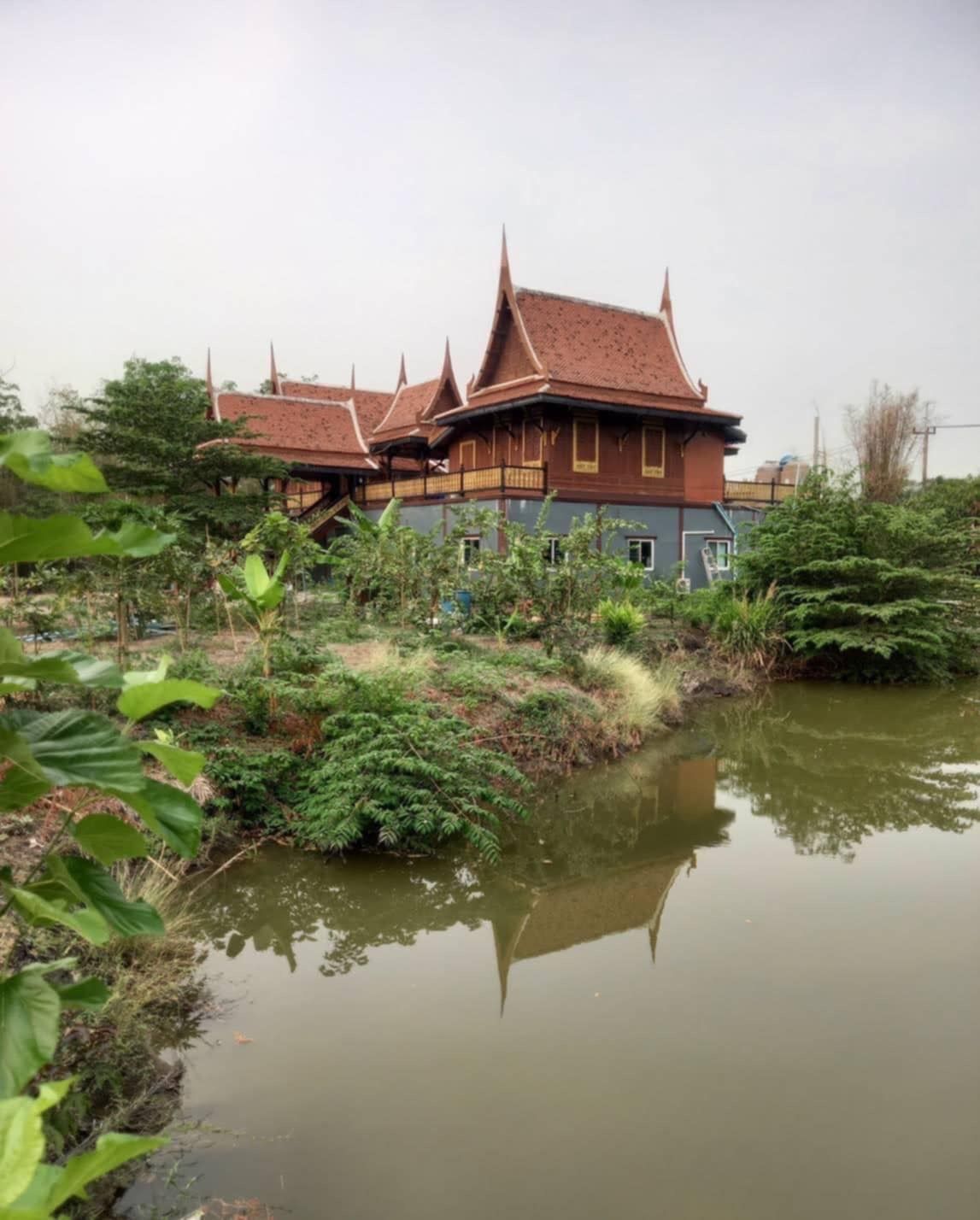 ขายบ้านลพบุรี อำเภอพัฒนานิคม บ้านพร้อมที่ดินพร้อมรถ‼️ บรรยากาศดี แปลงสวย น่าลงทุน
