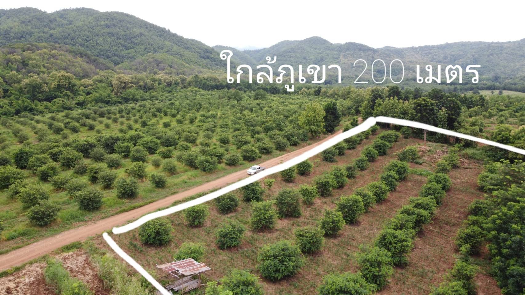 ที่ดินสวน เมืองเพชรบูรณ์ 6-0-0 ไร่