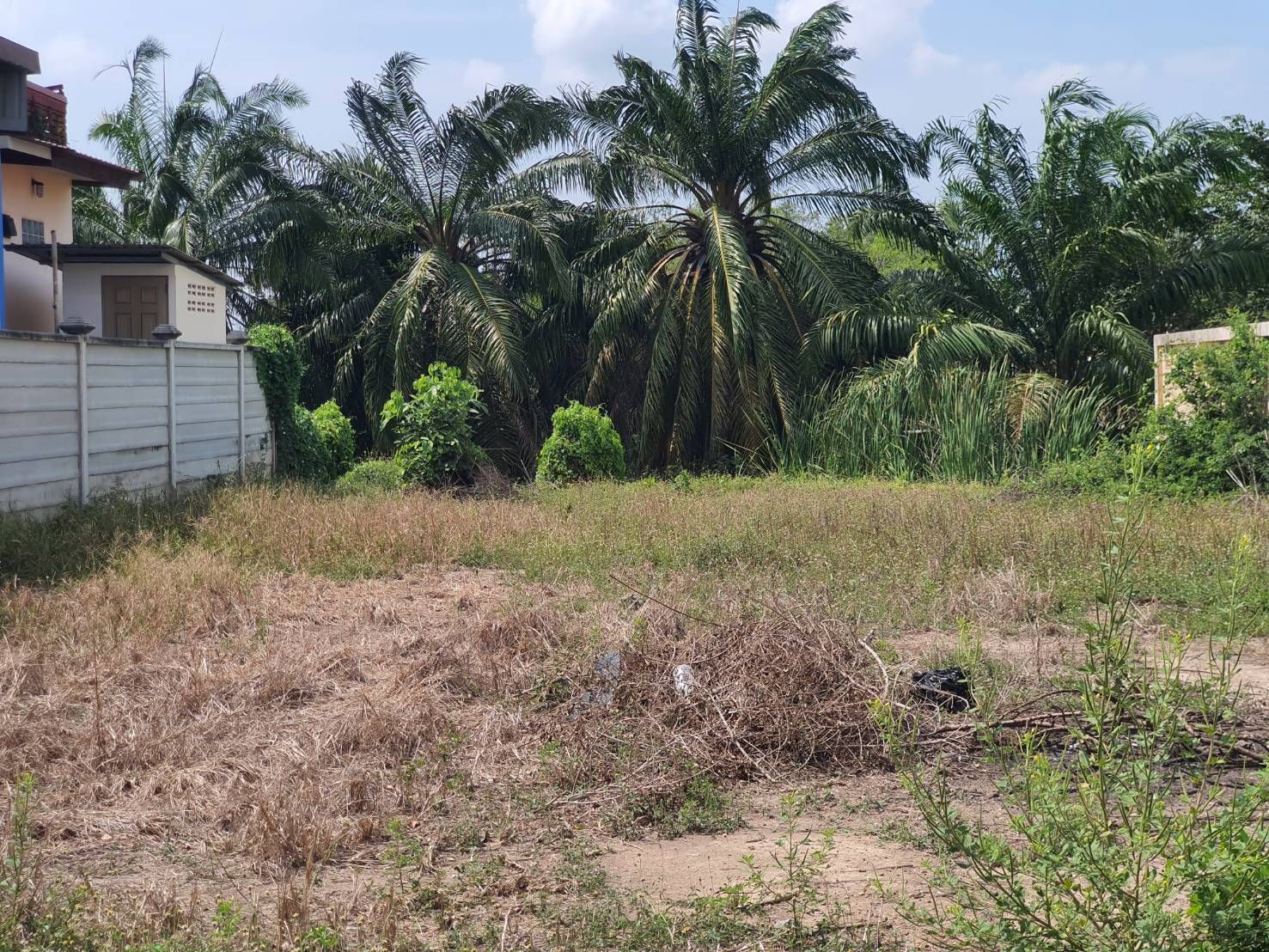ขายที่ดินสวยถมแล้ว 78 ตรว.ราคาพิเศษฟรีโอน อยู่ในหมู่บ้านสวนเอก ติดถนนใหญ่เดินทางสะดวก