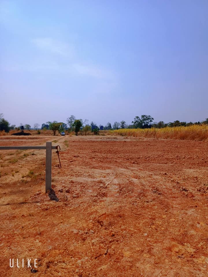 ที่ดินแบ่งขาย 5 ไร่ หนองหาน อุดรธานี 