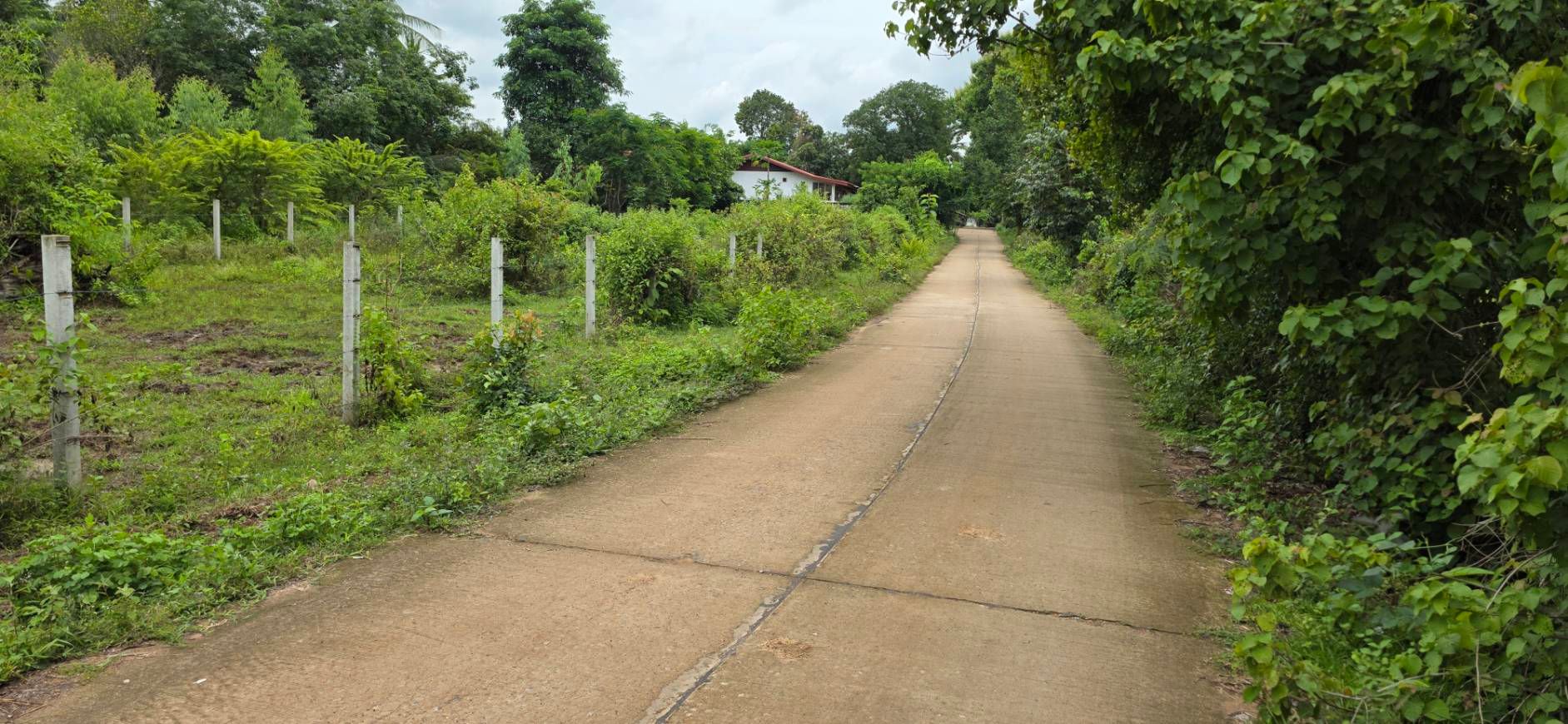 ขายที่ดินอุบลฯ เดชอุดม