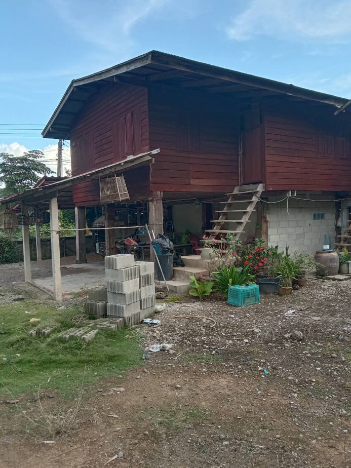 ขายบ้านเชียงราย พญาเม็งราย 0-1-96.1