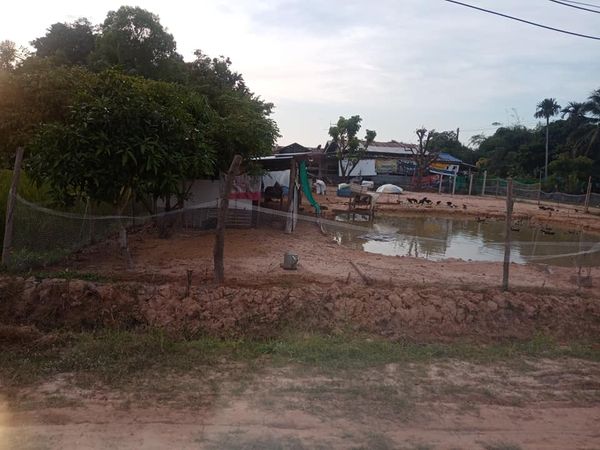 ที่ดินเปล่าถมแล้ว กาฬสินธ์ 211 ตร.ว
