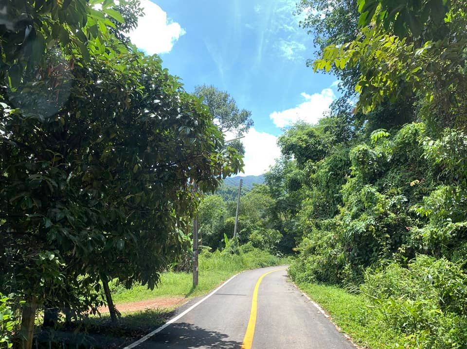 สวนผลไม้ที่ทางเข้าน้ำตกพลิ้ว จันทบุรี 5-3-58
