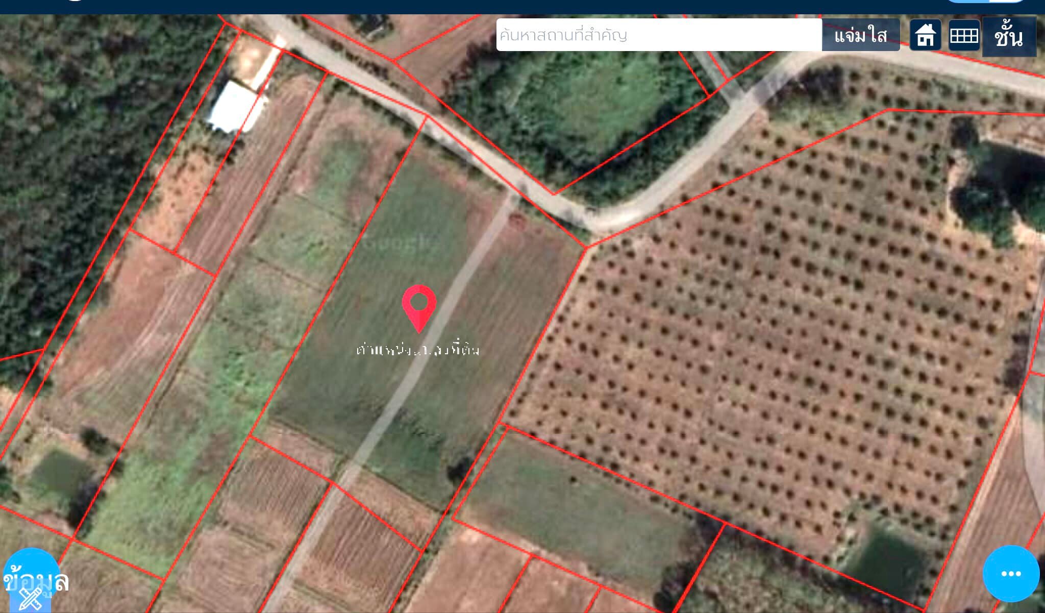 ที่ดินเปล่า เมืองเพชรบูรณ์ 5-3-45.4