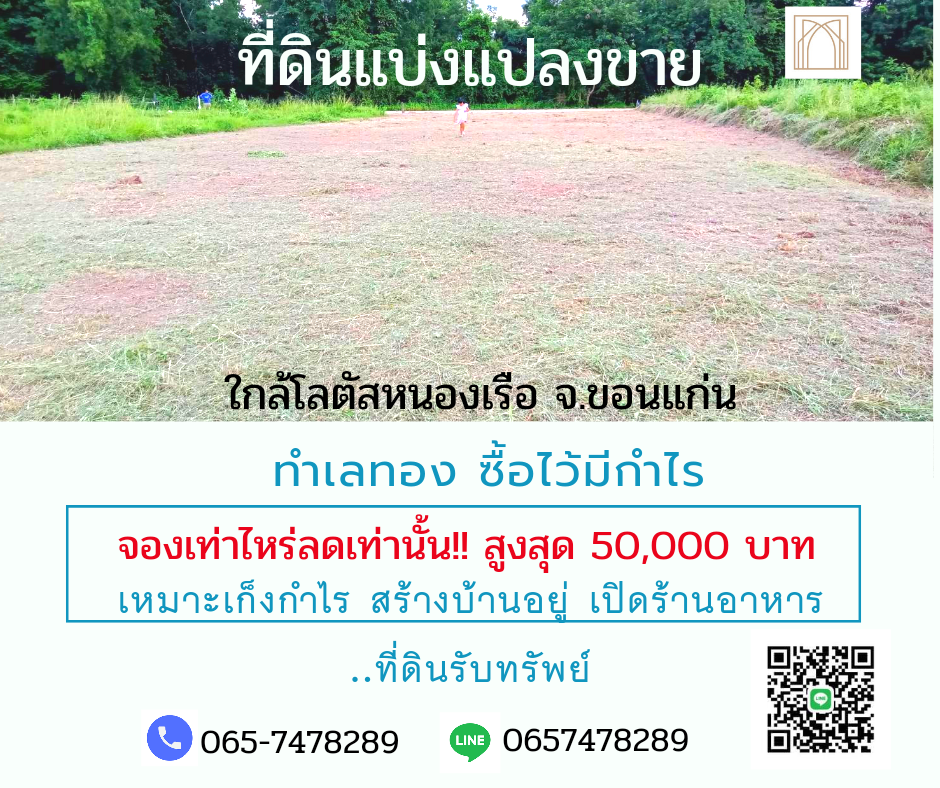 ที่ดินหนองเรือ 