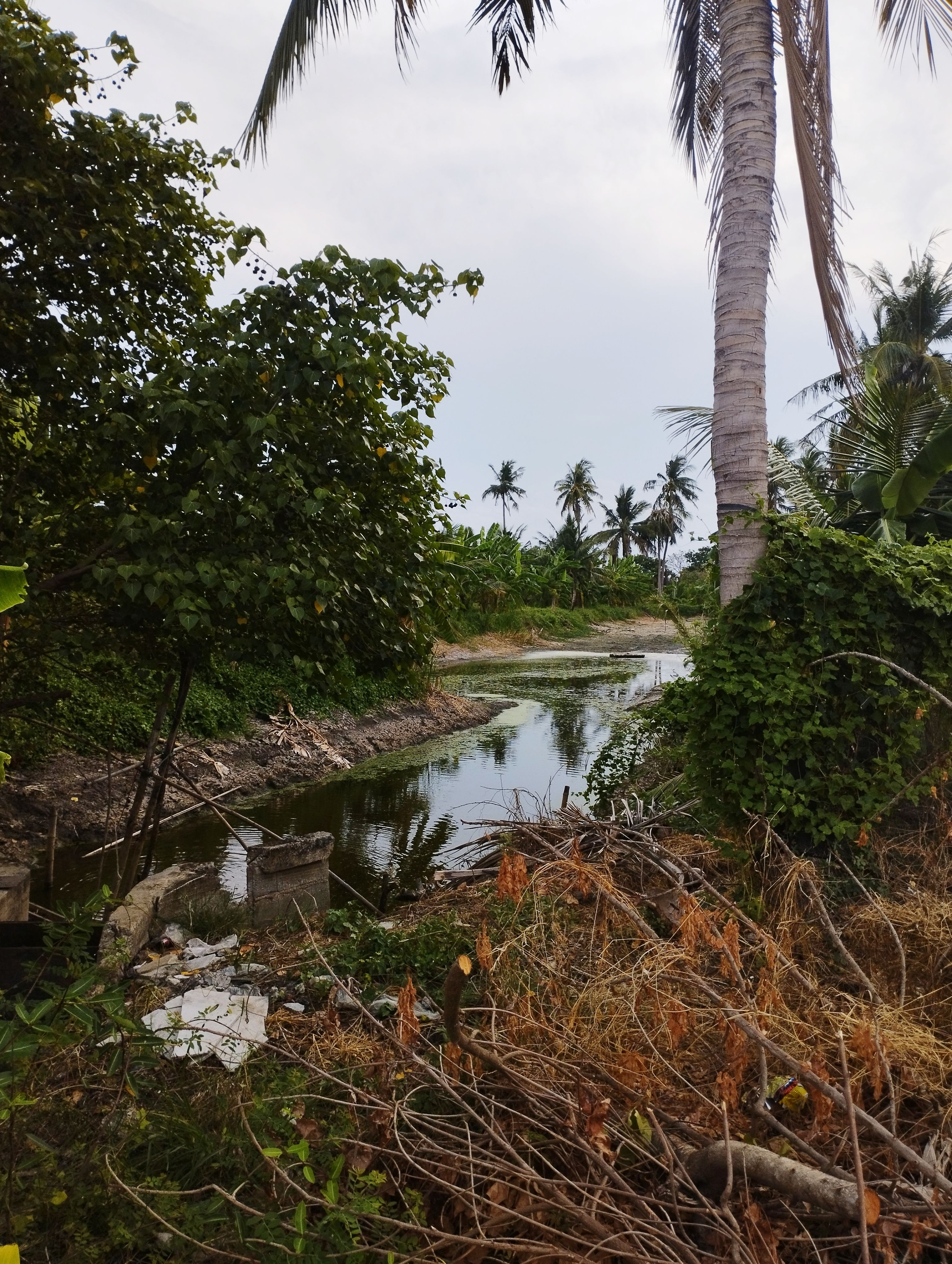 ขายที่ดิน คลองขุดใหม่ บ้านแพ้ว