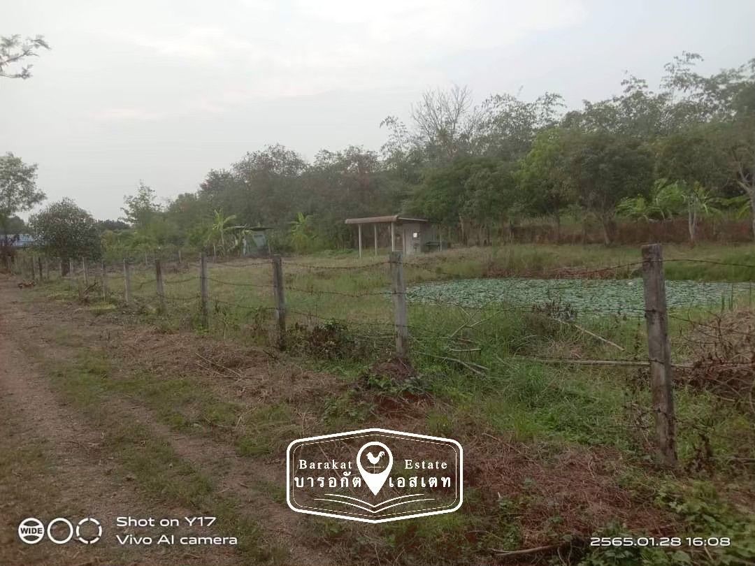 ที่สวยทำบ้านสวน ปลูกต้นไม้ บ้านพักตากอากาศ อำเภอหนองเสือ จังหวัดปทุมธานี