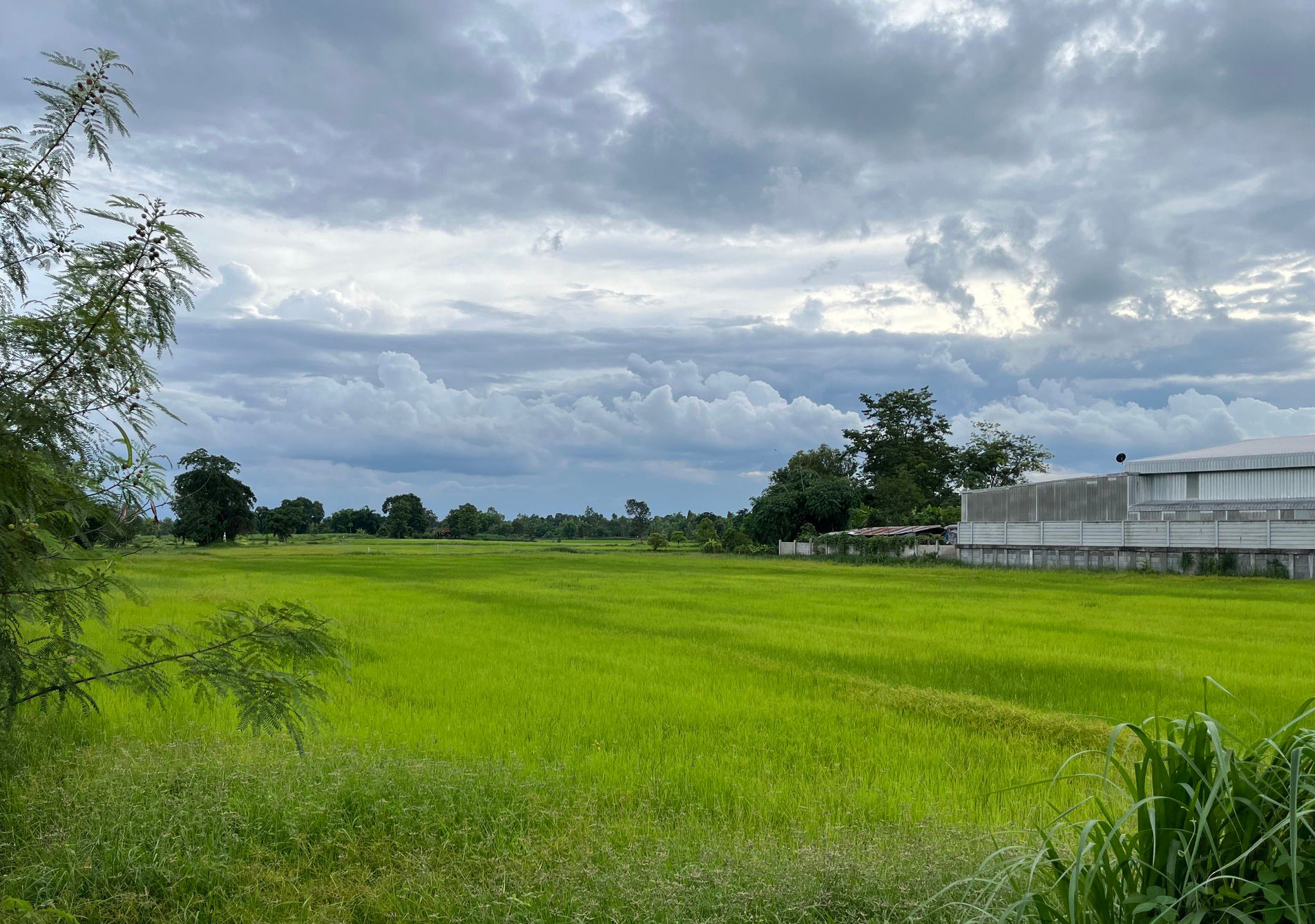 ขายที่ดินทำเลดี 6 ไร่ สวยๆ ติดถนน 2 ด้าน ด้านหน้าติดถนนชยางกูร (ทางหลวงเอเชียสาย 121) หน้ากว้าง 70 เมตร