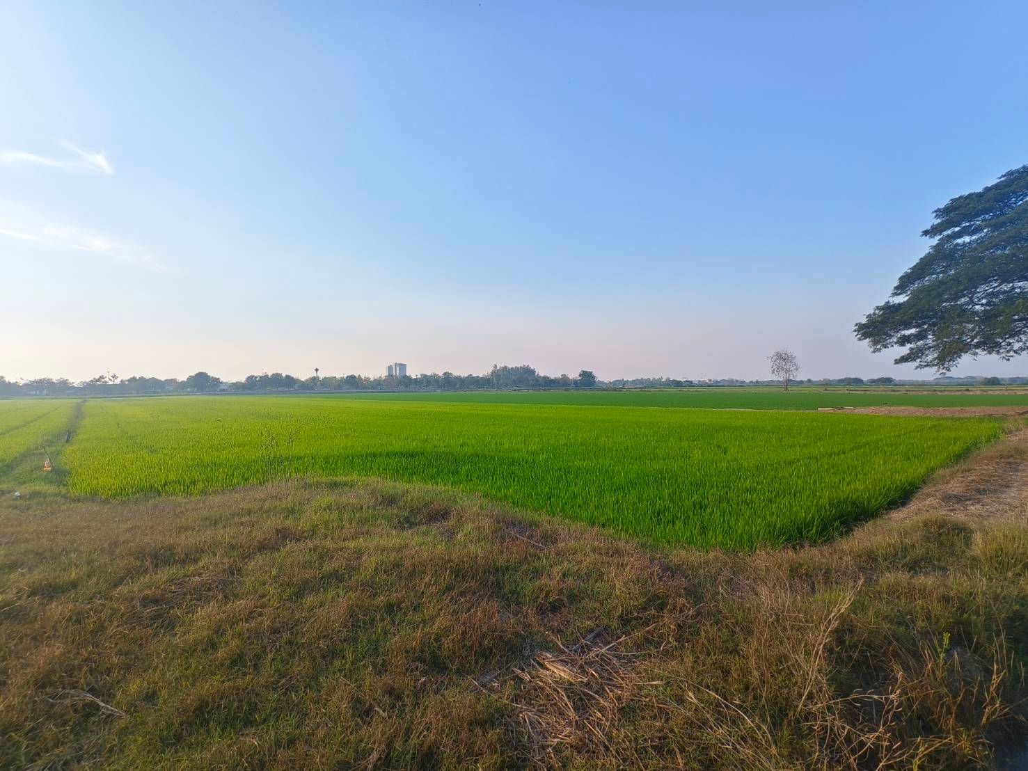 ขายที่ดินสุพรรณบุรี อำเภอเมือง เขตเทศบาลท่าระหัด