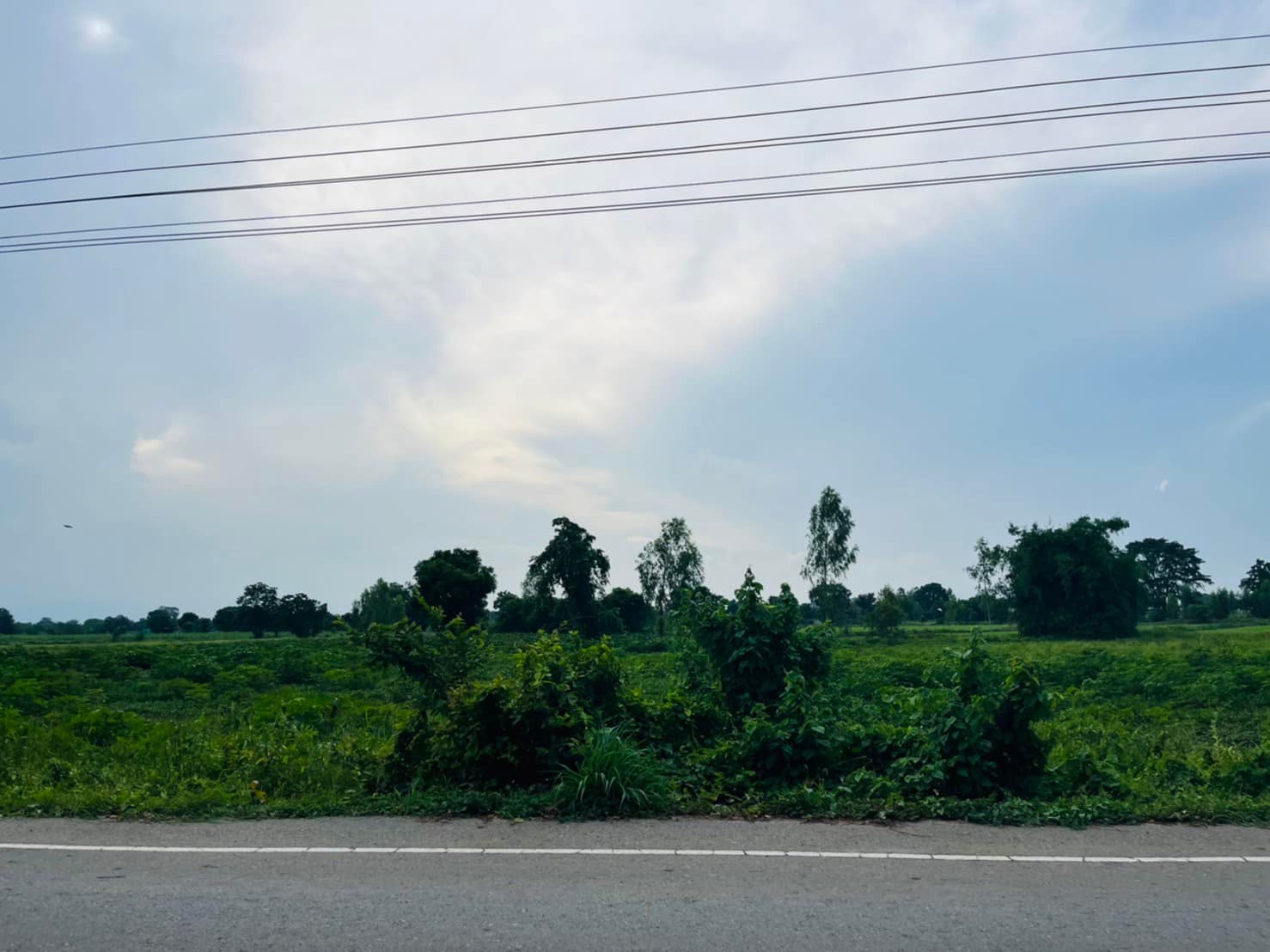 ขายที่ดินสุพรรณบุรี สามชุก 1-0-0