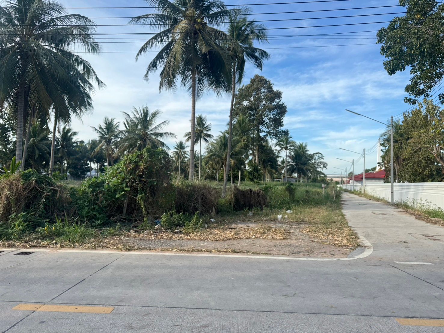 ขายที่ดิน 8-1-93.3 ไร่ พันเสด็จนอก เขาคันทรง-ศรีราชา ติดหมู่บ้านจัดสรร ใกล้ถ.331 และใกล้นิคมอุตสาหกรรม
