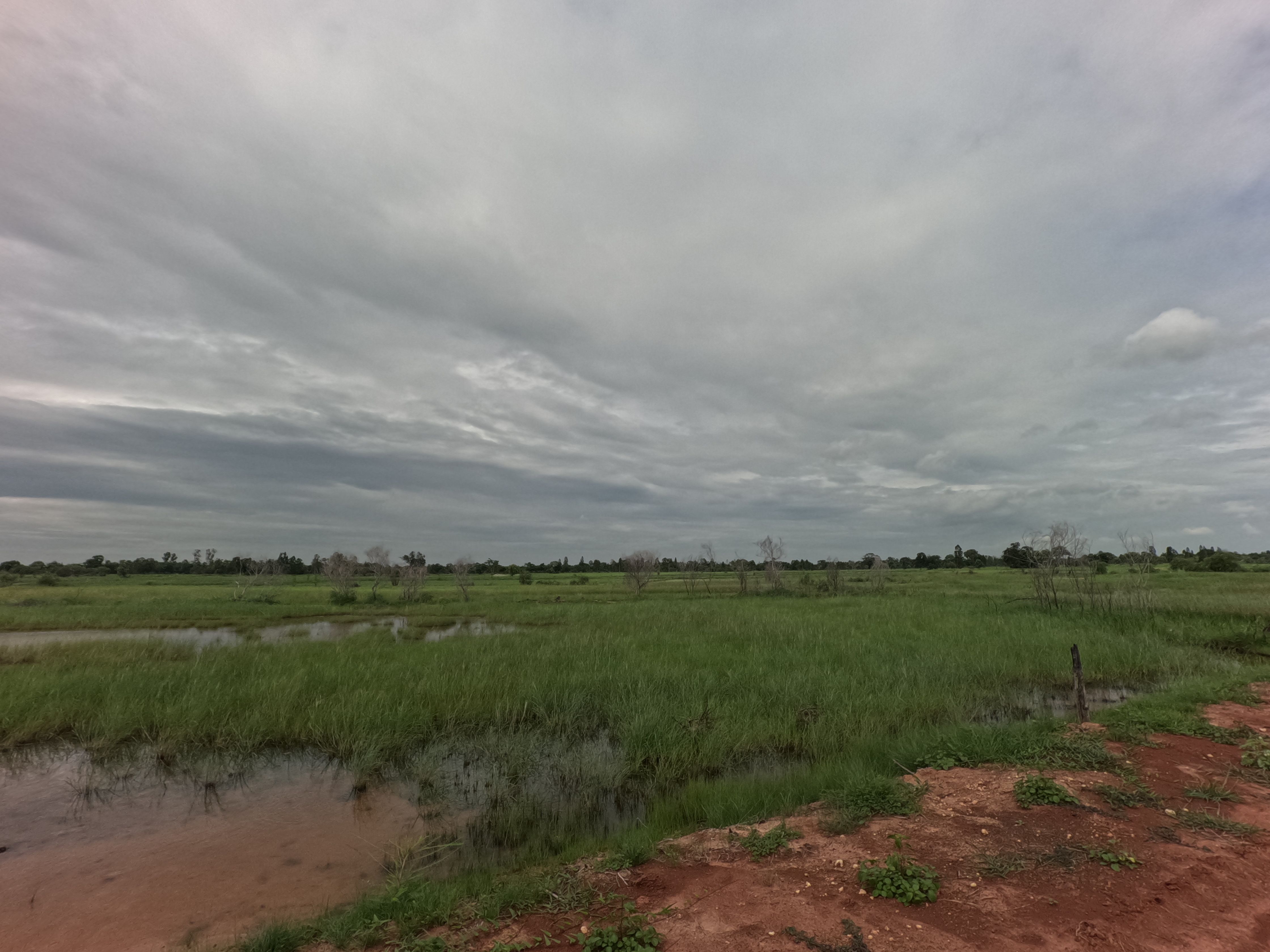 ขายที่ดิน 5 ไร่ บัวใหญ่