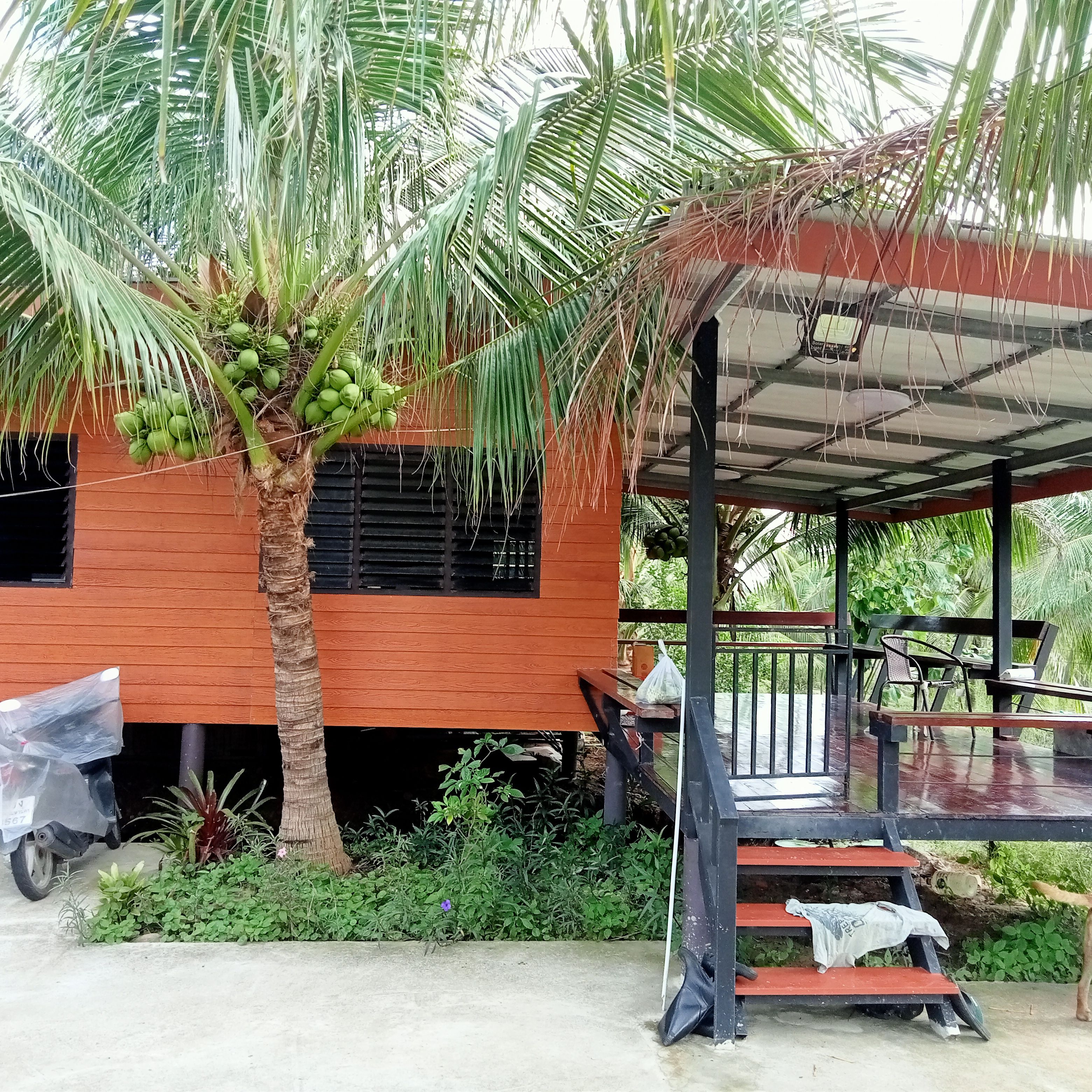 ขายที่ดินพร้อมสวน บ้าน2หลัง มีสวนมะพร้าวน้ำหอม 100+ต้นรายได้เสริม มีบ่อปลา มีสระบัวใหญ่ มีเลี้ยงไก่ออกไข่ทุกวัน มีสวนผักสวนครัวนิดหน่อย น้ำไฟพร้อมทำเลดี ราคาถูก กุยบุรี จ.ประจวบฯ 