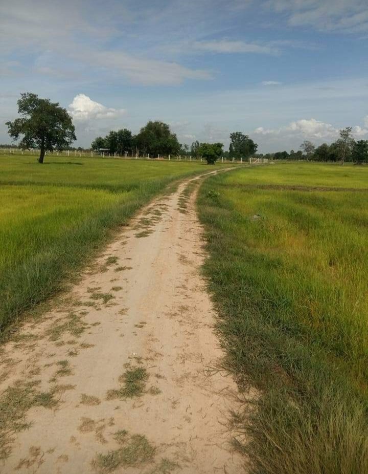 ที่ดินที่นา เมืองสุรินทร์ 5-2-33.7