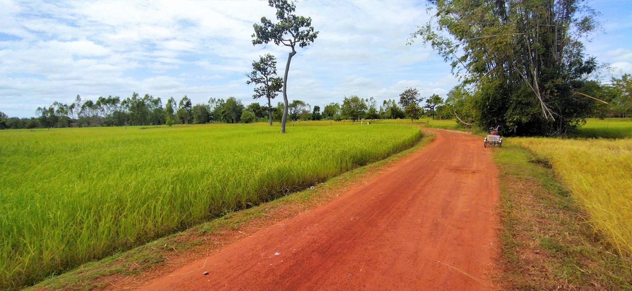 ขายที่ดิน/ที่นา/ทำการเกษตร