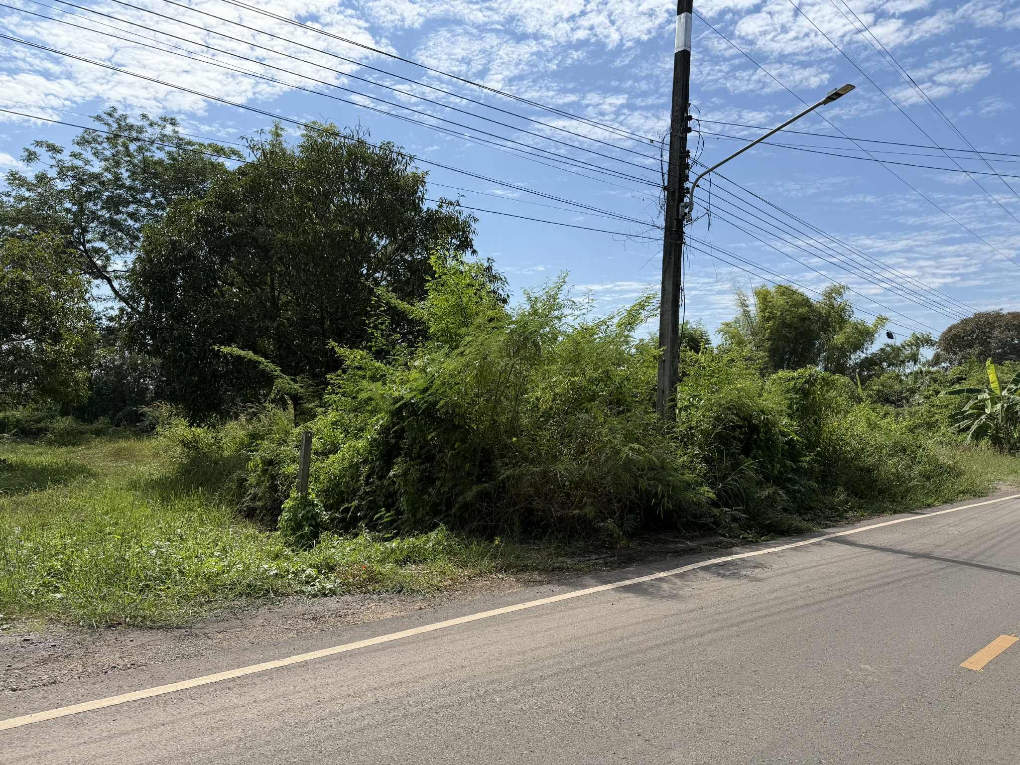 ขายที่ดินอุดรธานี อำเภอเมือง ที่ดินเปล่าติดถนน 