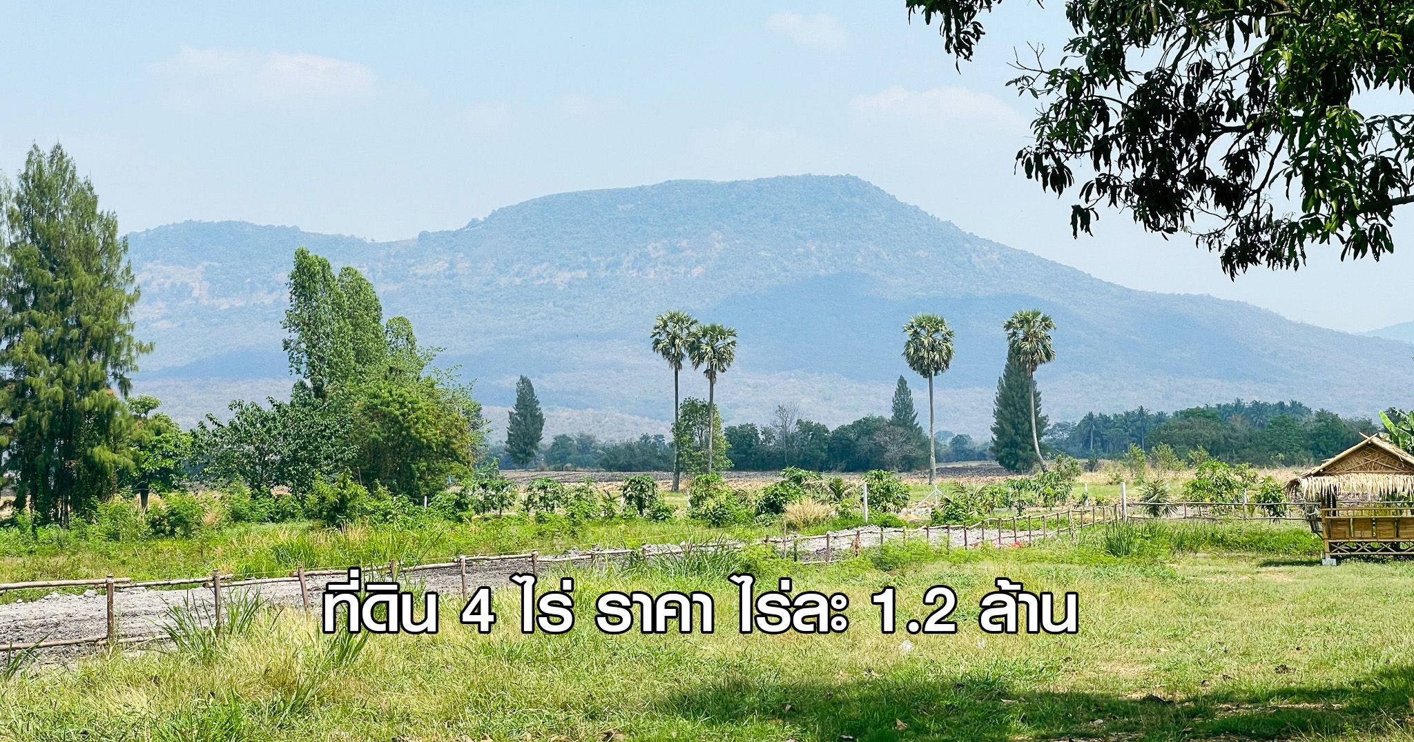 ที่ดินวิวภูเขา 4 ไร่ ปากช่อง นครราชสีมา