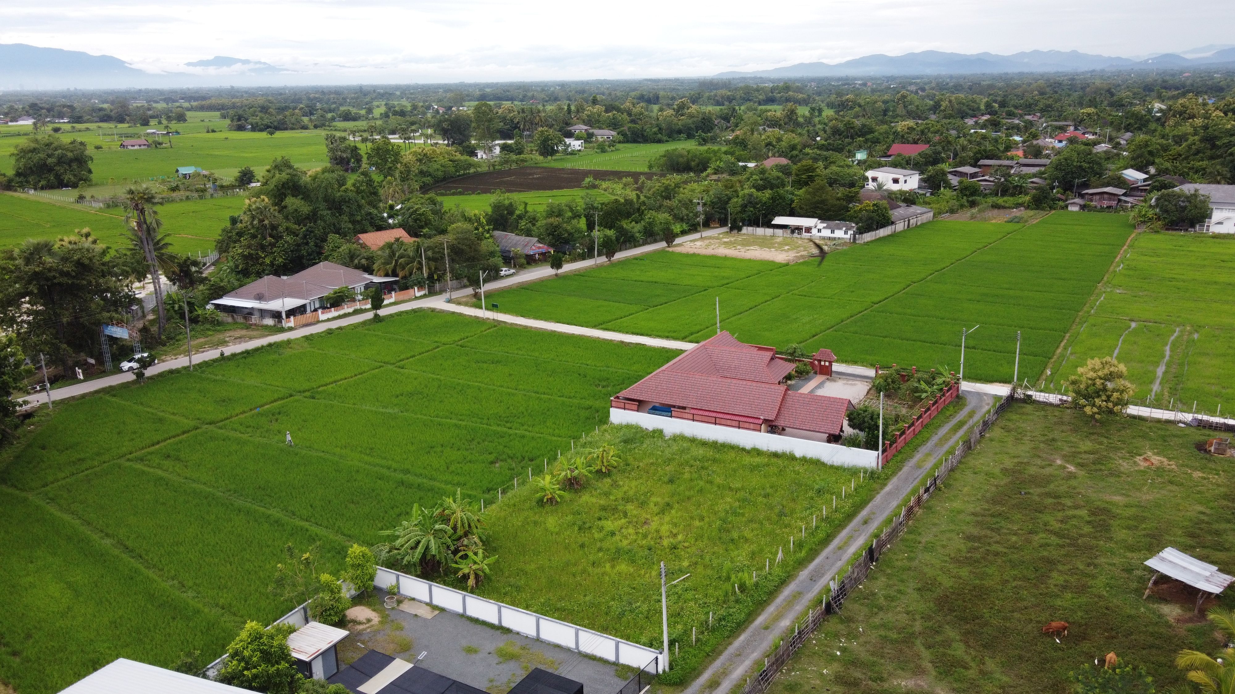 ขายที่ดิน 211 ตร.ว. (ใกล้ถนนตัดใหม่ 500 เมตร สาธารณูปโภคครบ)