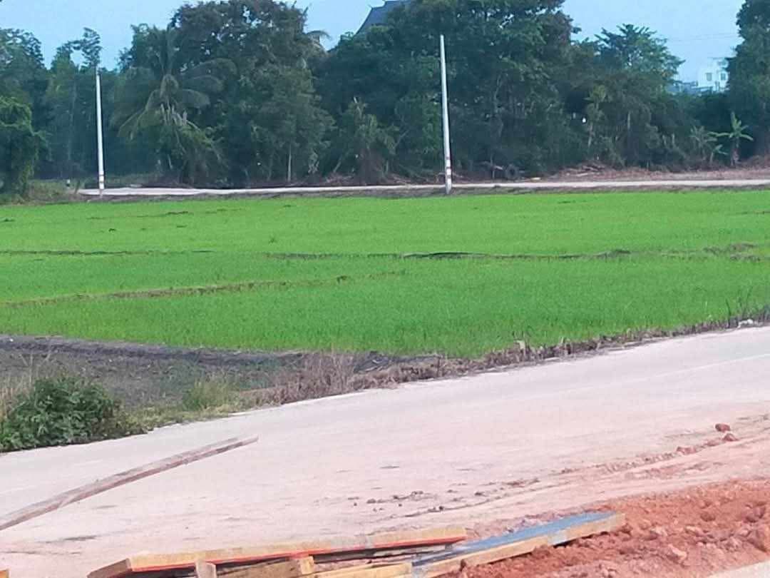 ขายที่ดินเชียงใหม่ แปลงสวย ติดถนนสาธารณะ เหมาะลงทุนมาก ใกล้แม็คโคร ฝาง 5-1-78 ไร่.