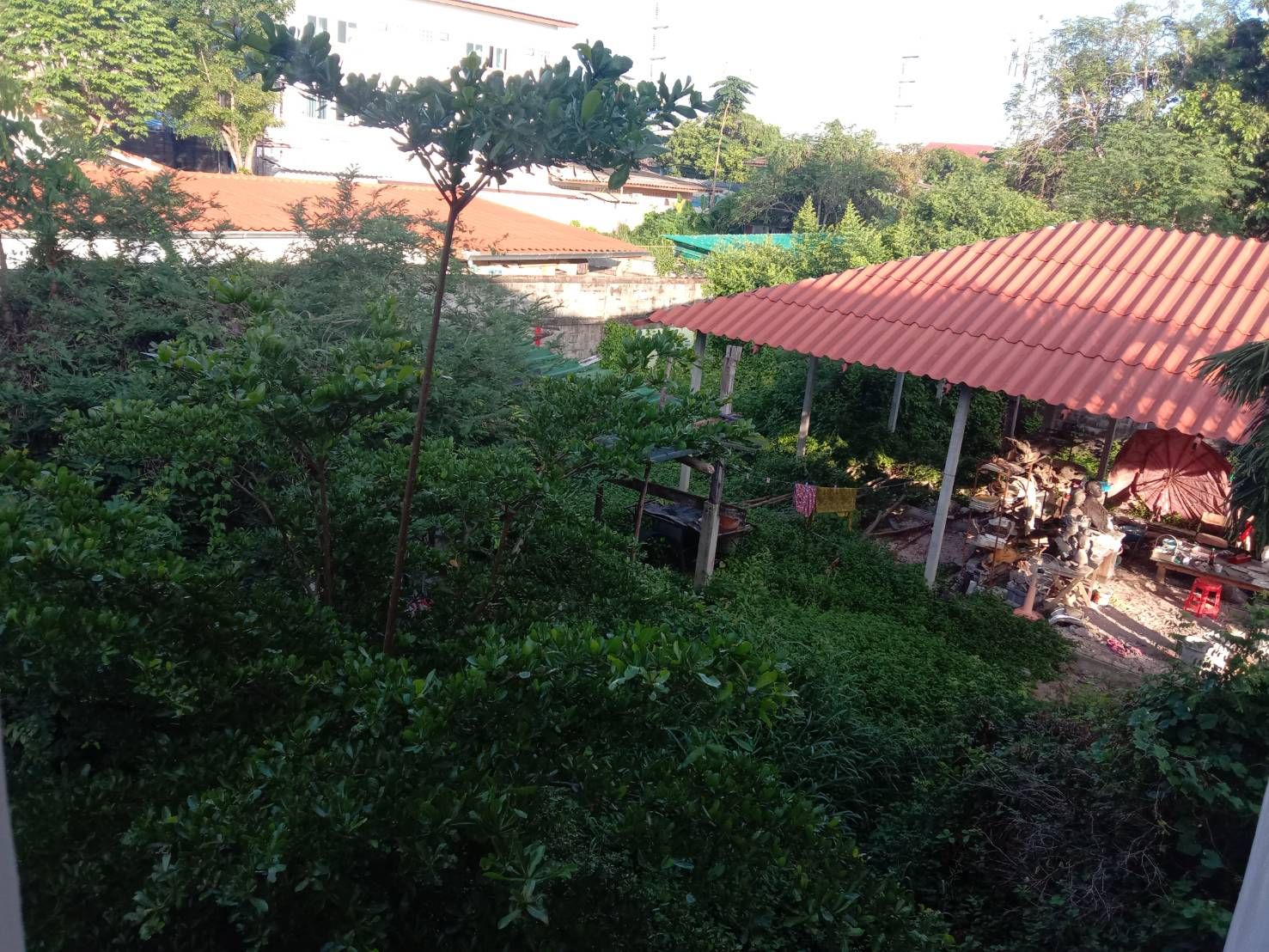 ขายที่ดินแปลงเล็กใกล้ตลาด วิหารแดง