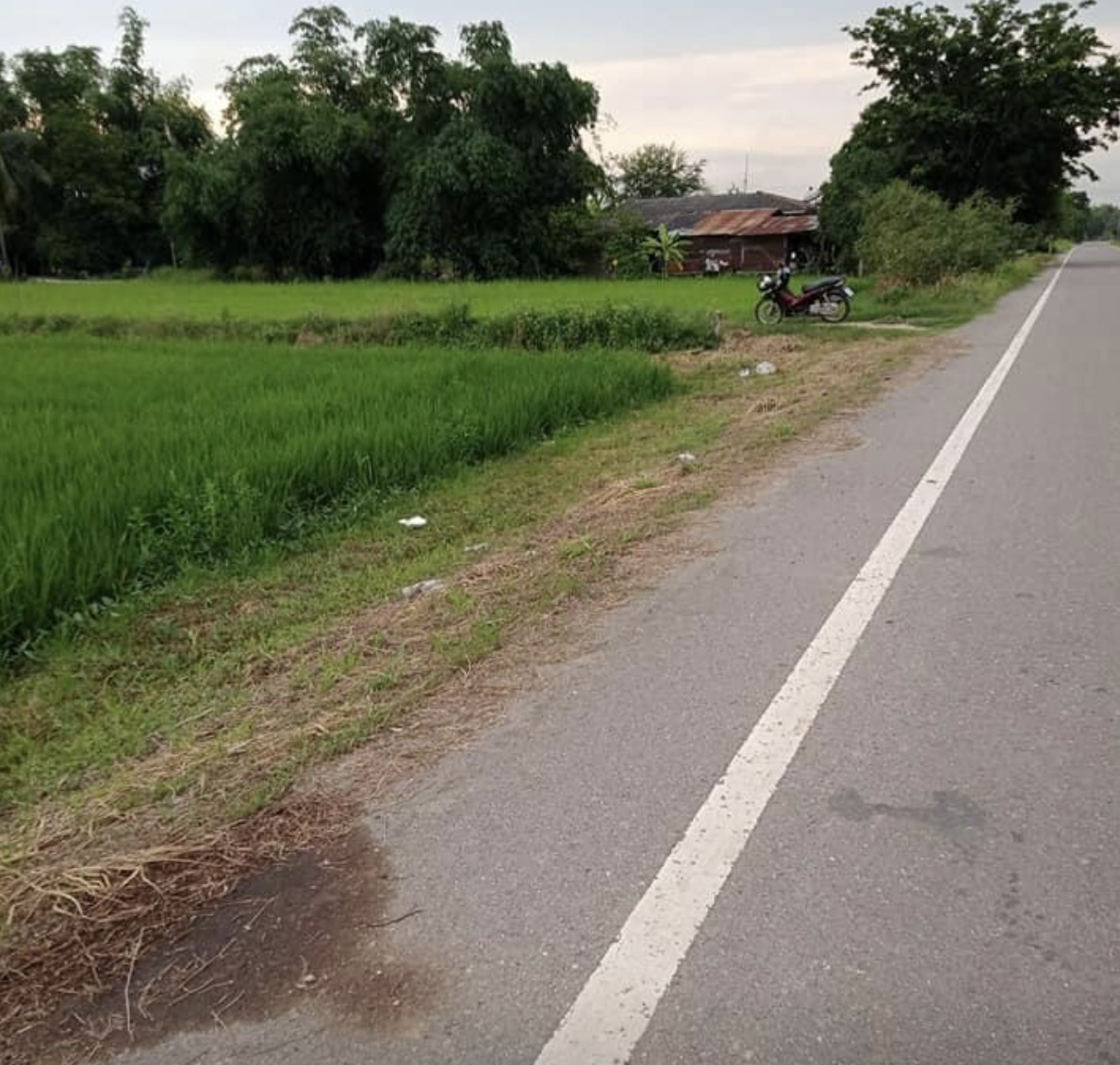 ขายที่ดินเปล่า อ.เมือง จ.พิษณุโลก 4-1-59.3ไร่