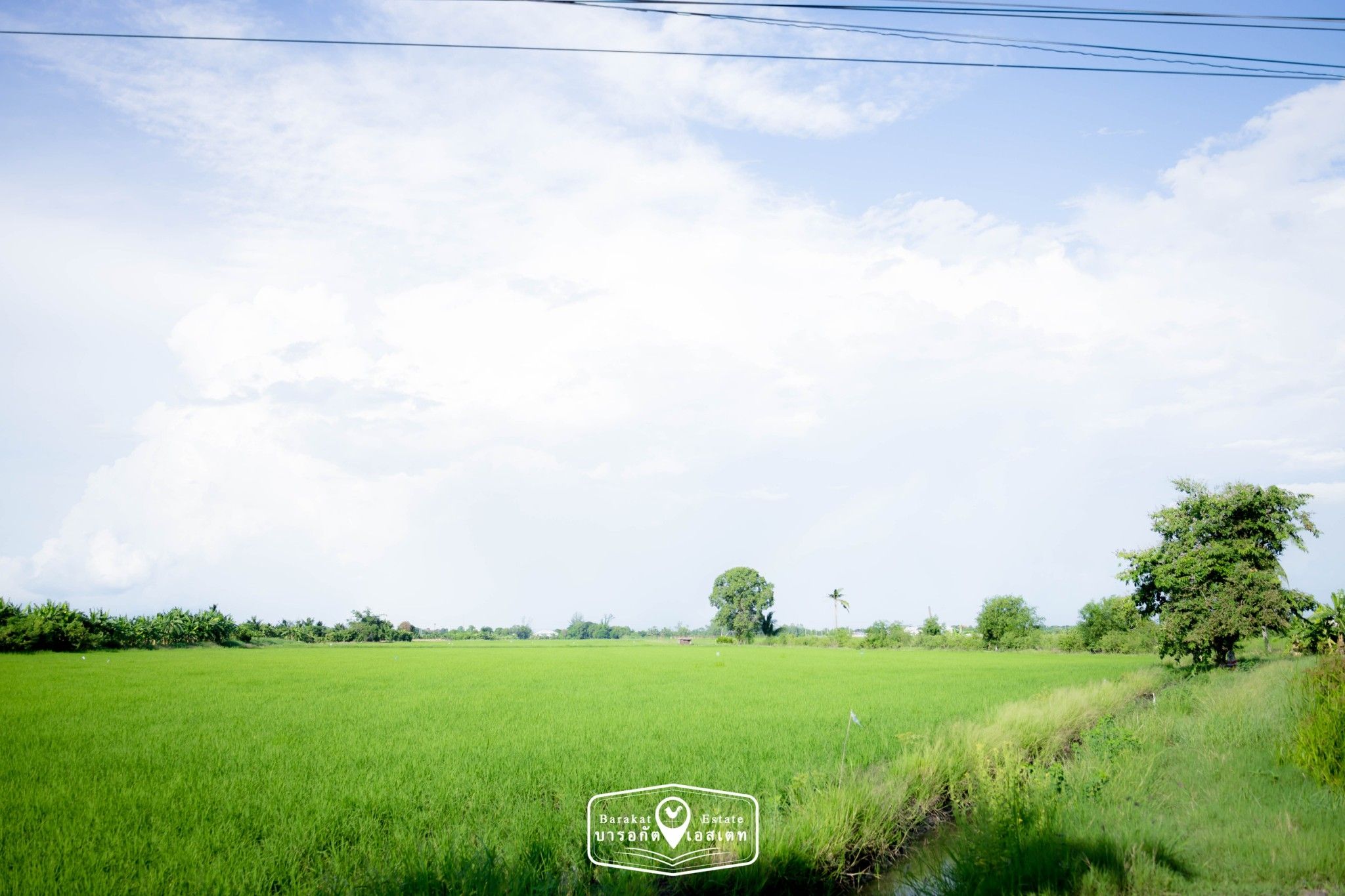 ขายที่ดินกรุงเทพฯ หนองจอก แปลงสวยติดคลอง ติดถนน บรรยากาศดี น่าลงทุน เขตหนองจอก จังหวัดกรุงเทพฯ